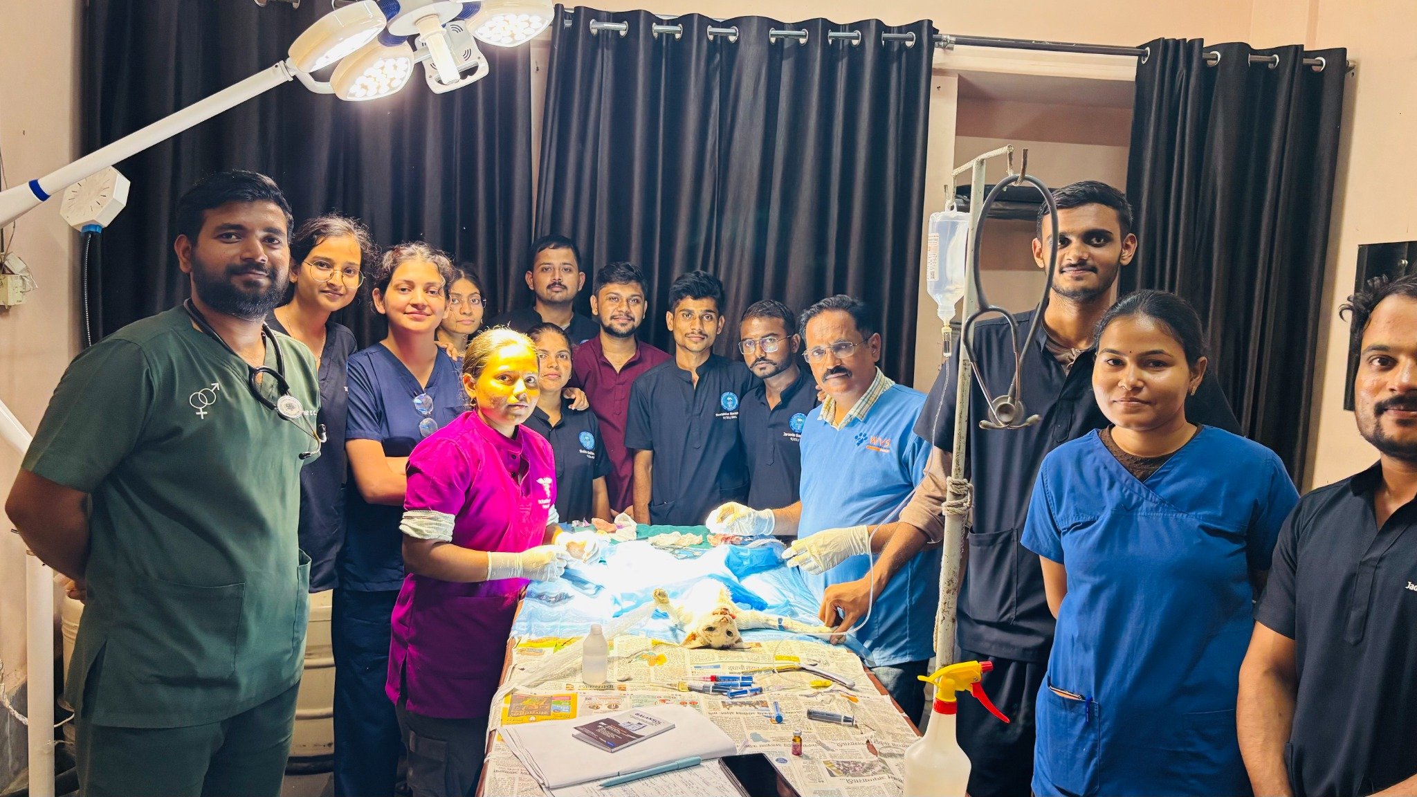 Gynecology Veterinary Clinical Complex Operation Theater